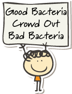 The Importance of Good Bacteria