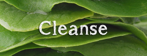 Cleansing and Detoxification